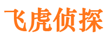 长清市婚外情调查